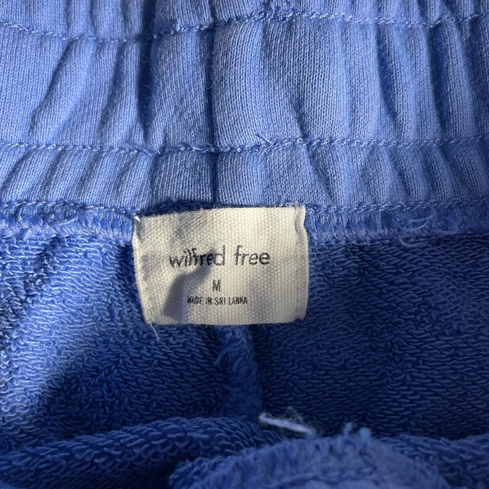 Aritzia Shorts - Picture 3 of 3